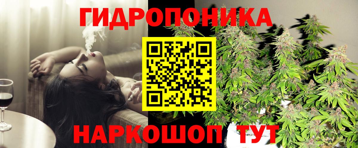Каннабис OG Kush Подольск